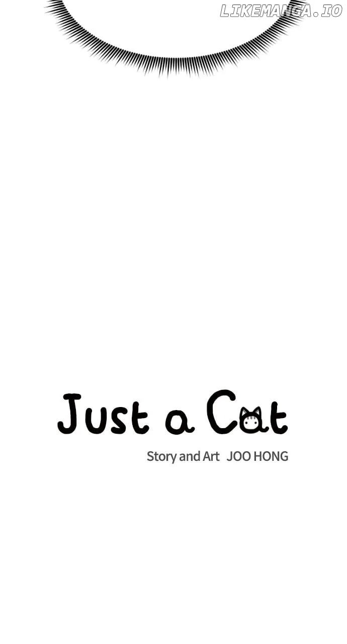 Just A Cat Chapter 19 page 16
