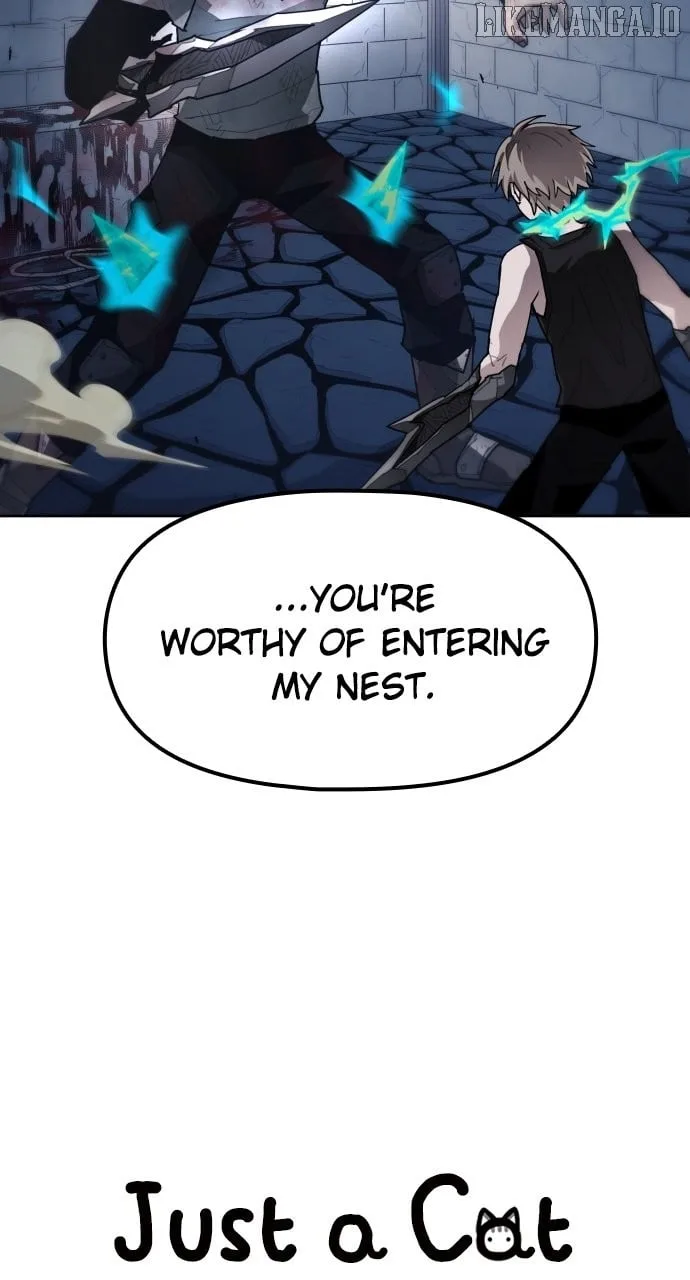 Just A Cat Chapter 21 page 16