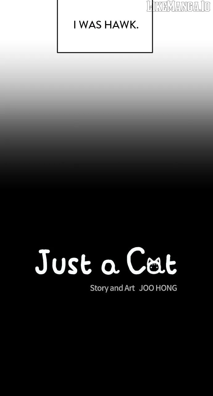 Just A Cat Chapter 23 page 20