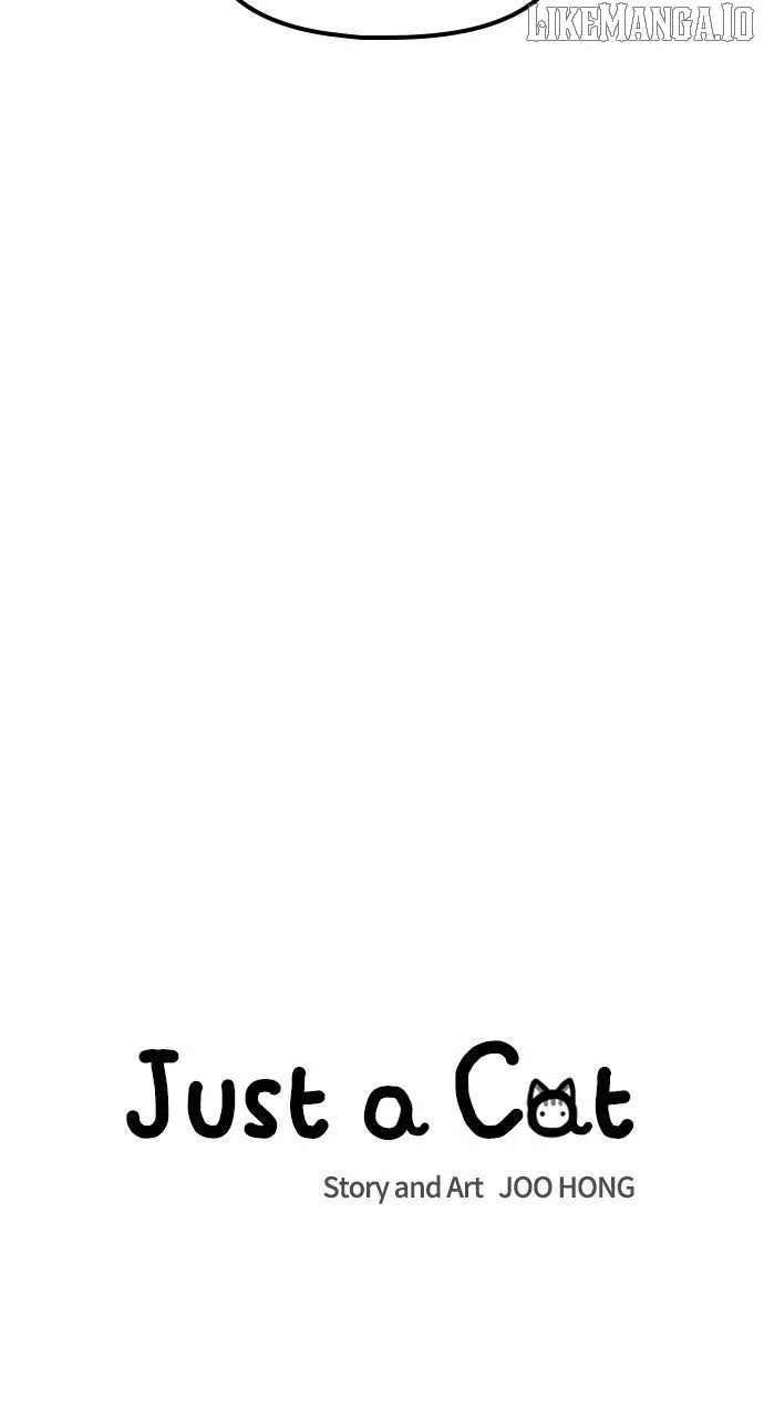 Just A Cat Chapter 26 page 21