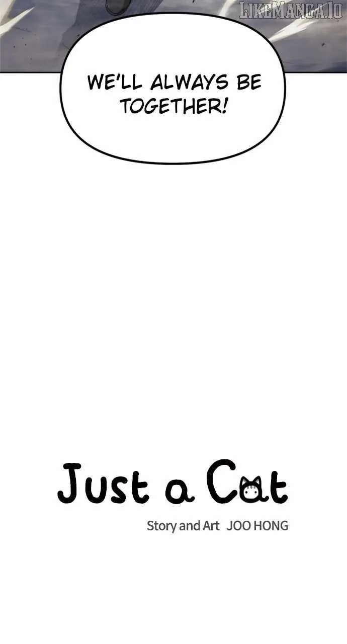 Just A Cat Chapter 27 page 8