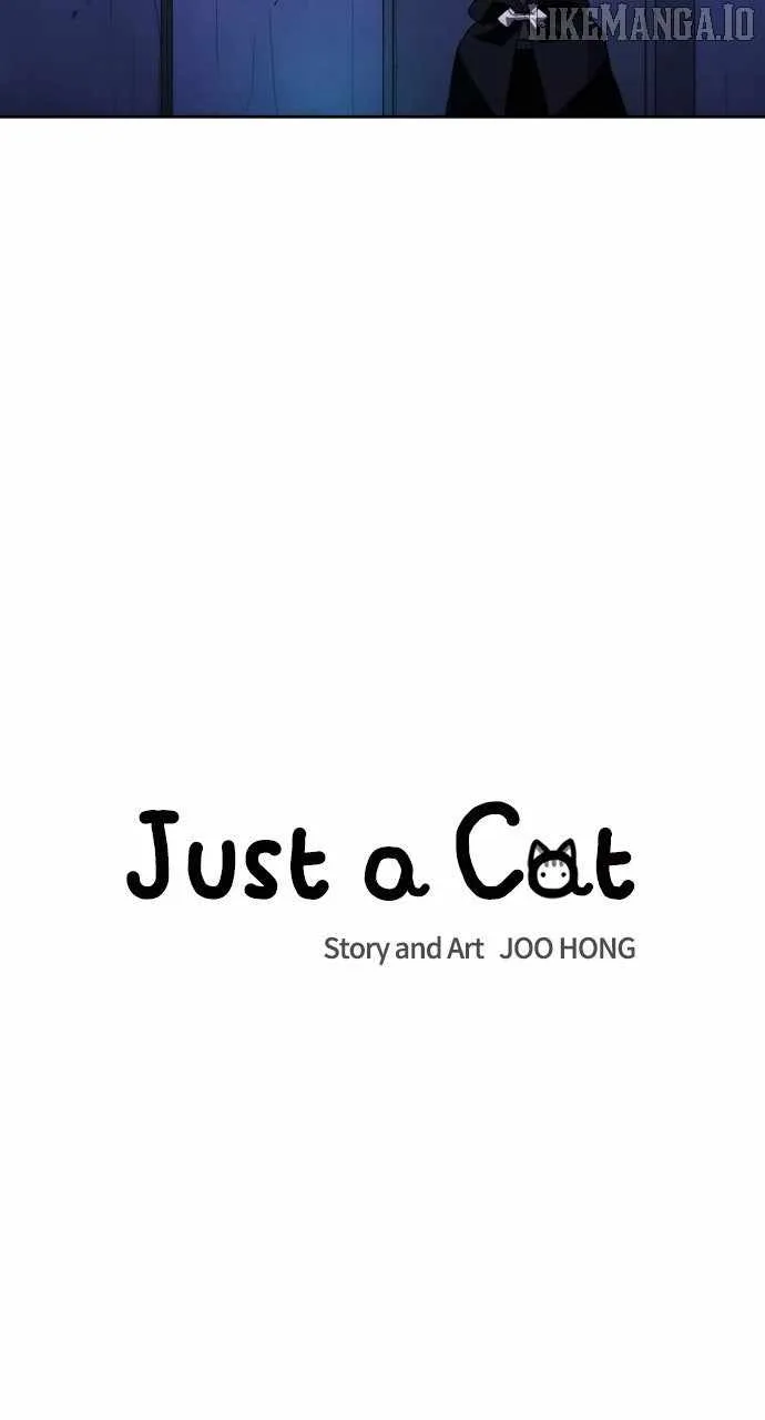 Just A Cat Chapter 29 page 12