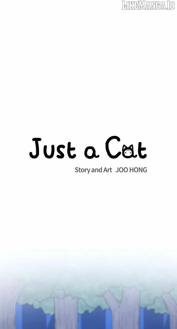 Just A Cat Chapter 28 page 14