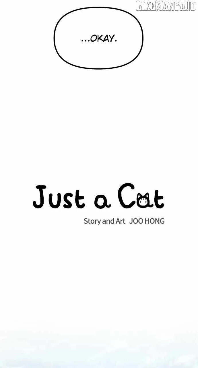 Just A Cat Chapter 30 page 19
