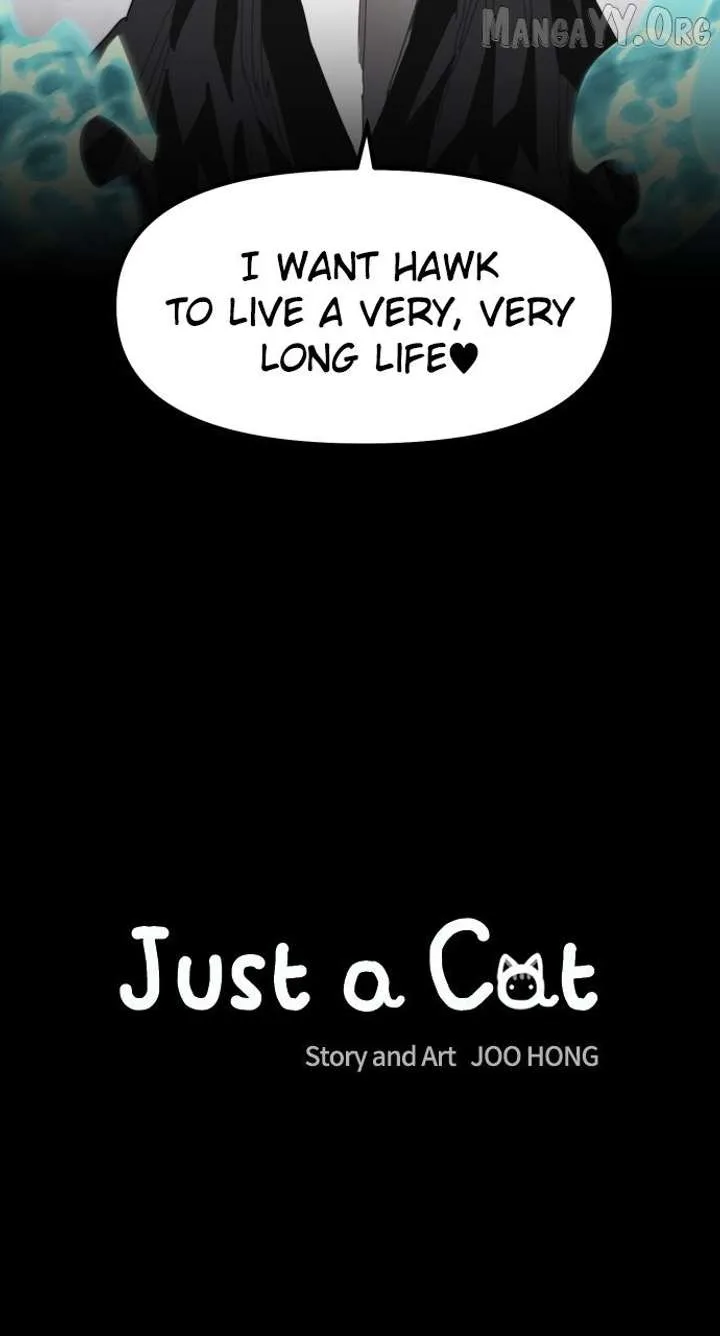 Just A Cat Chapter 34 page 11