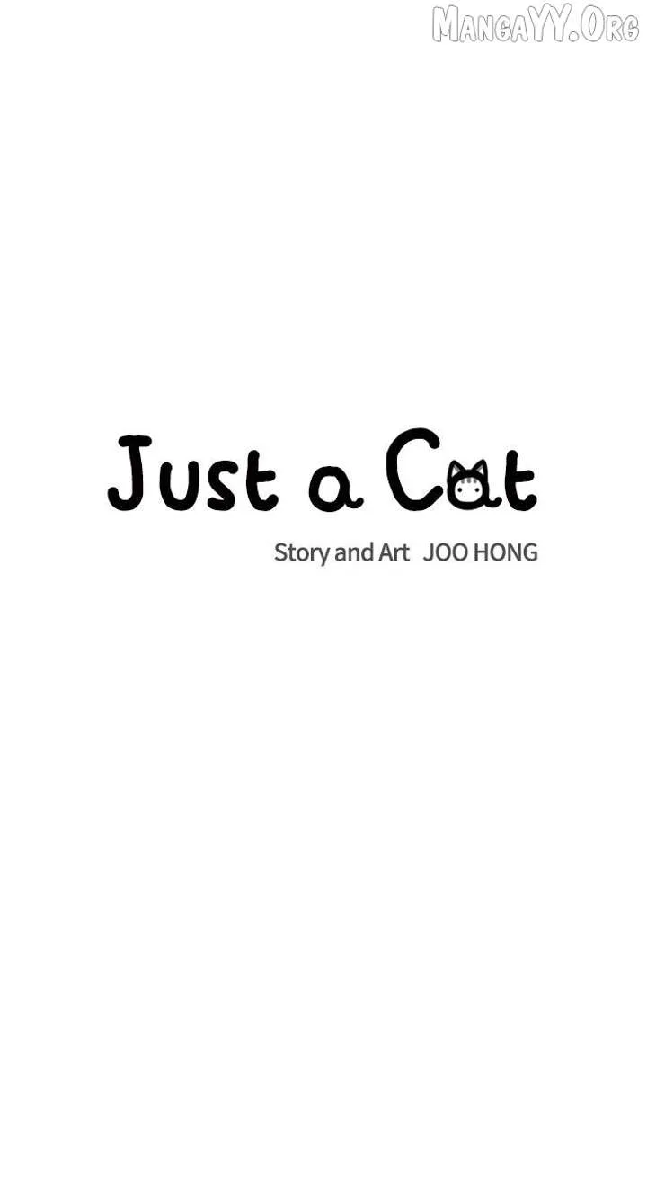 Just A Cat Chapter 35 page 7