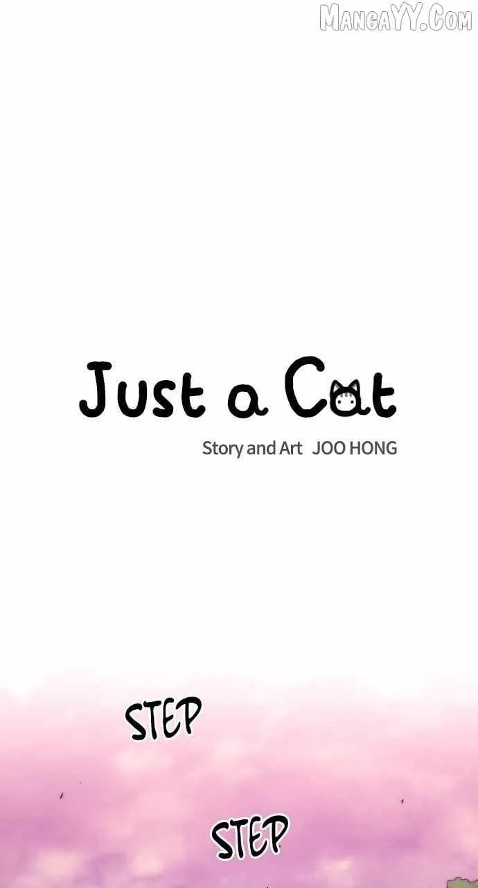 Just A Cat Chapter 33 page 41