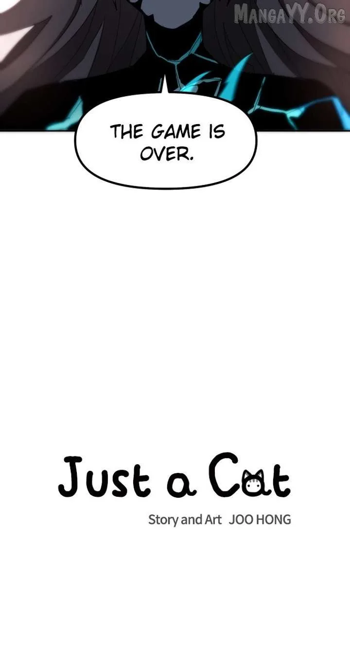 Just A Cat Chapter 37 page 13