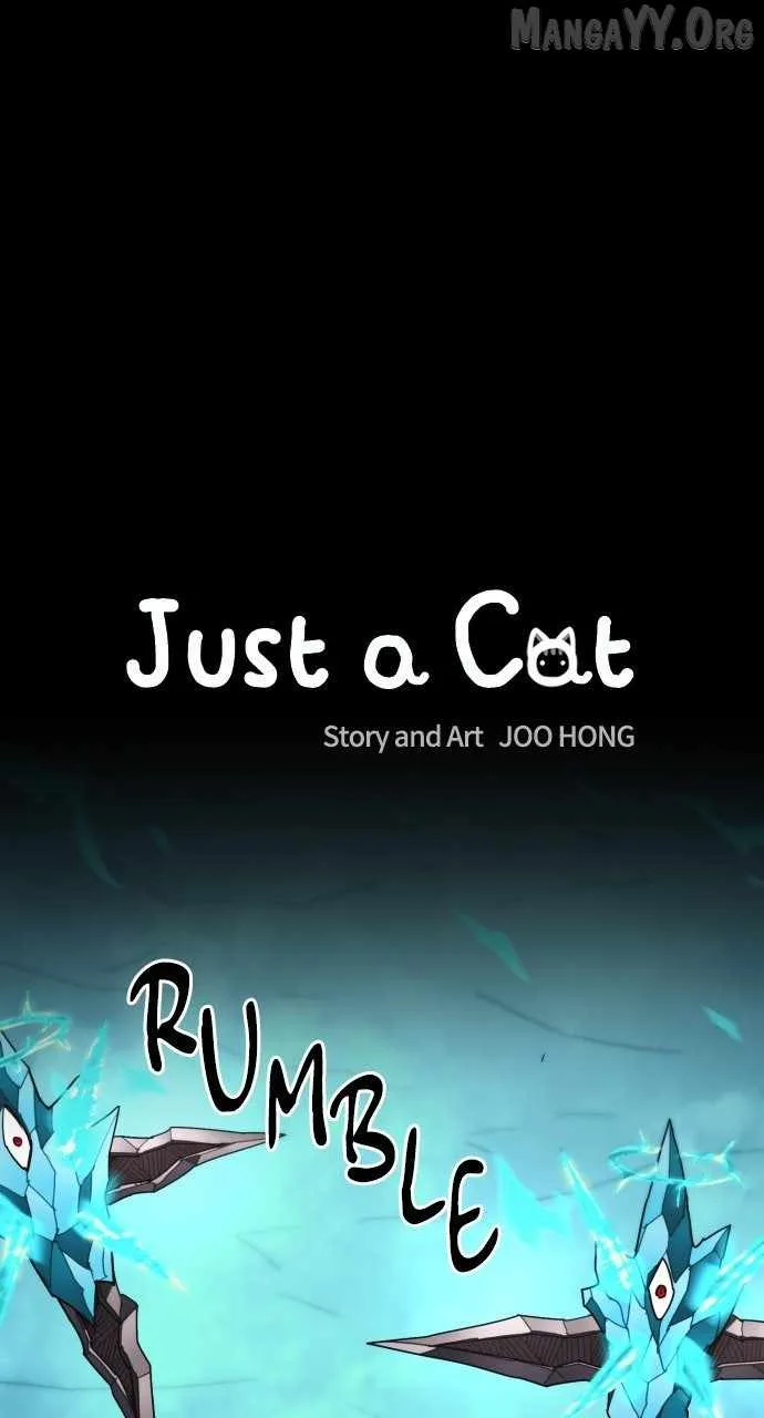 Just A Cat Chapter 36 page 14