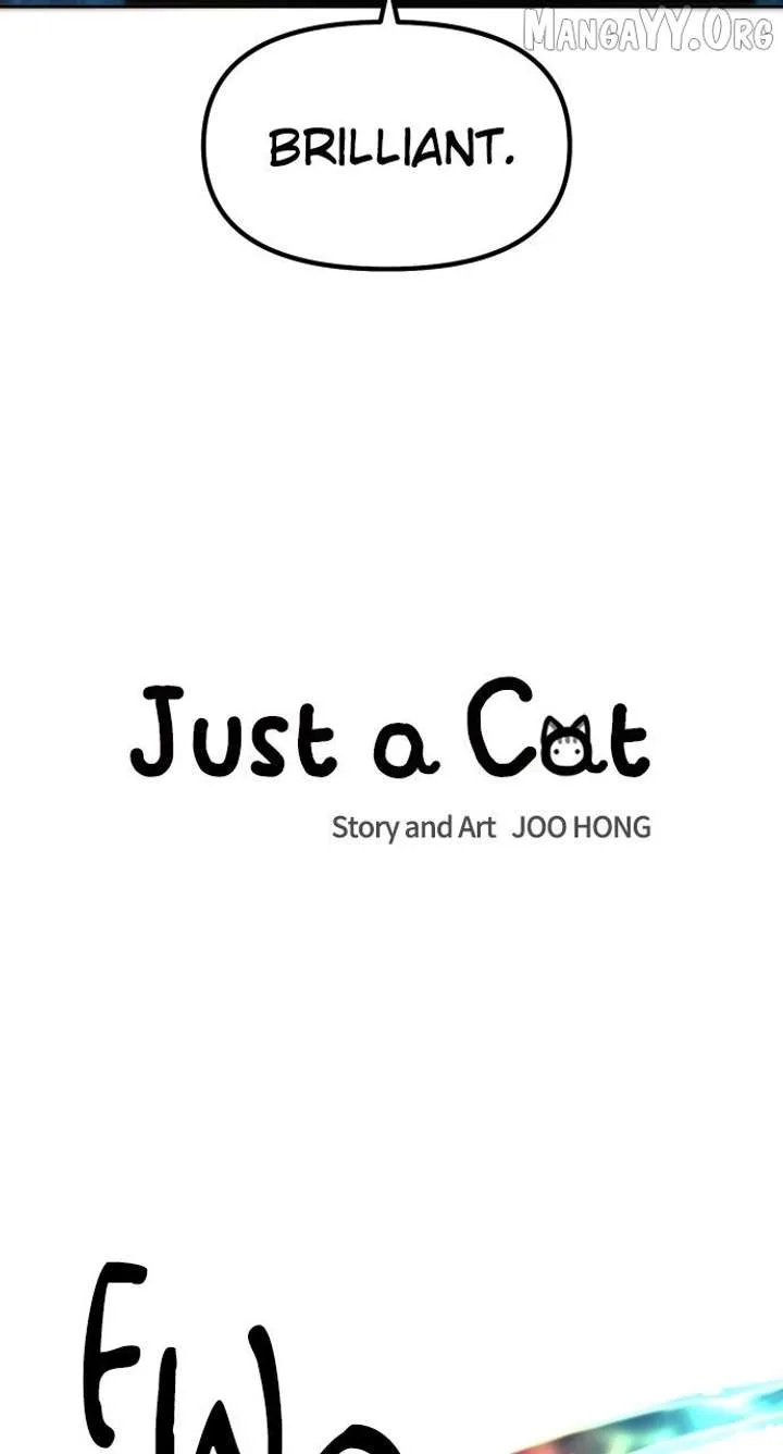 Just A Cat Chapter 39 page 11