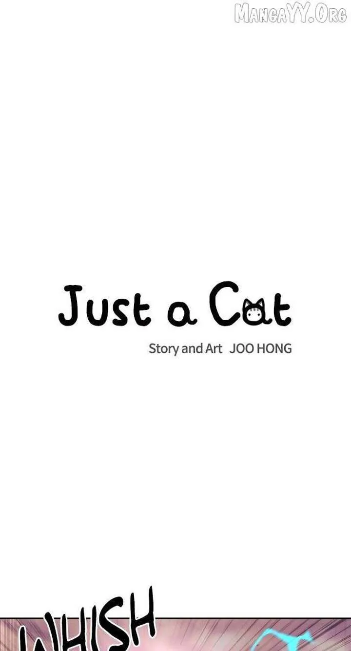 Just A Cat Chapter 38 page 11