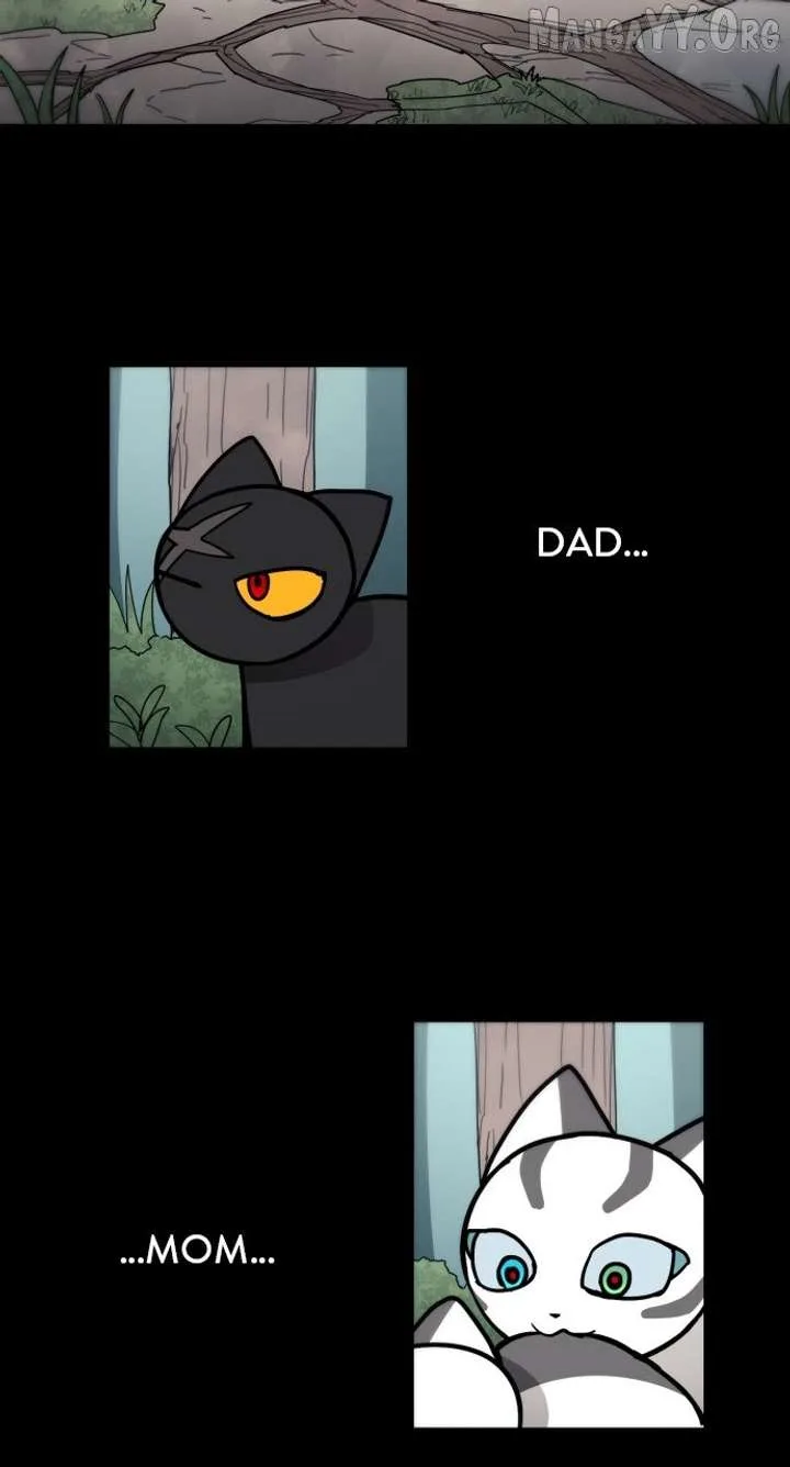 Just A Cat Chapter 43 page 3