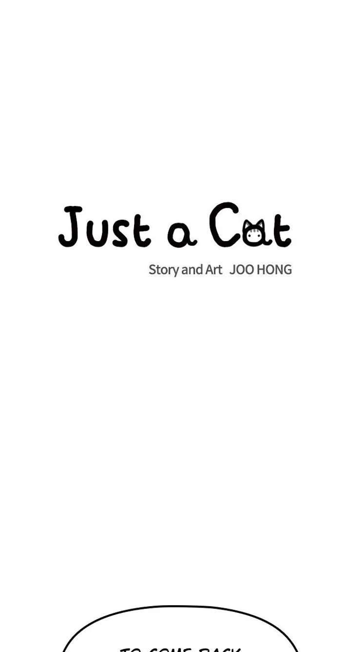 Just A Cat Chapter 41 page 8