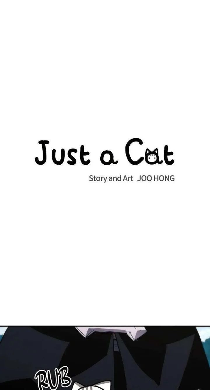 Just A Cat Chapter 47 page 34