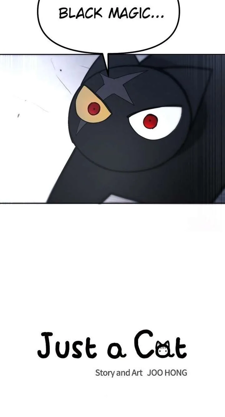 Just A Cat Chapter 51 page 11