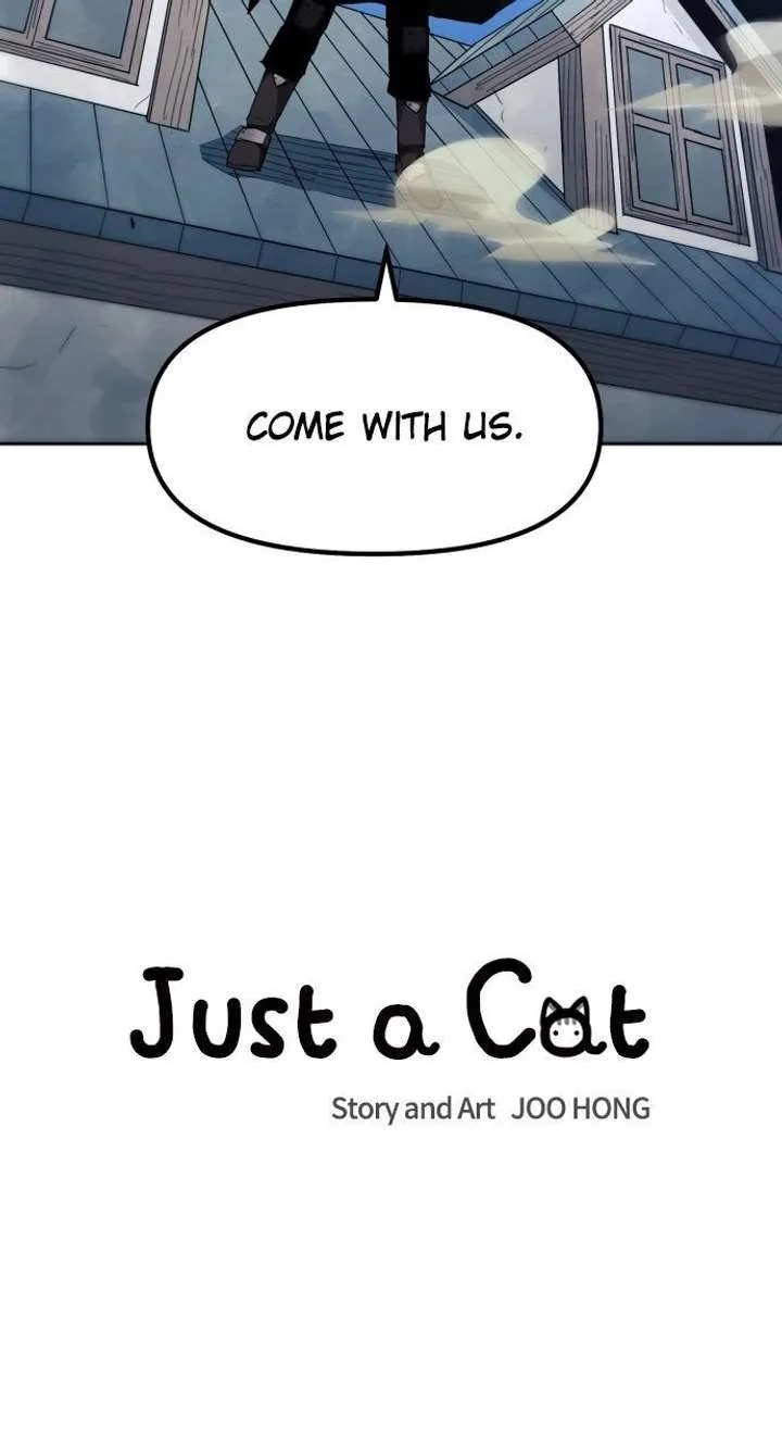 Just A Cat Chapter 53 page 11