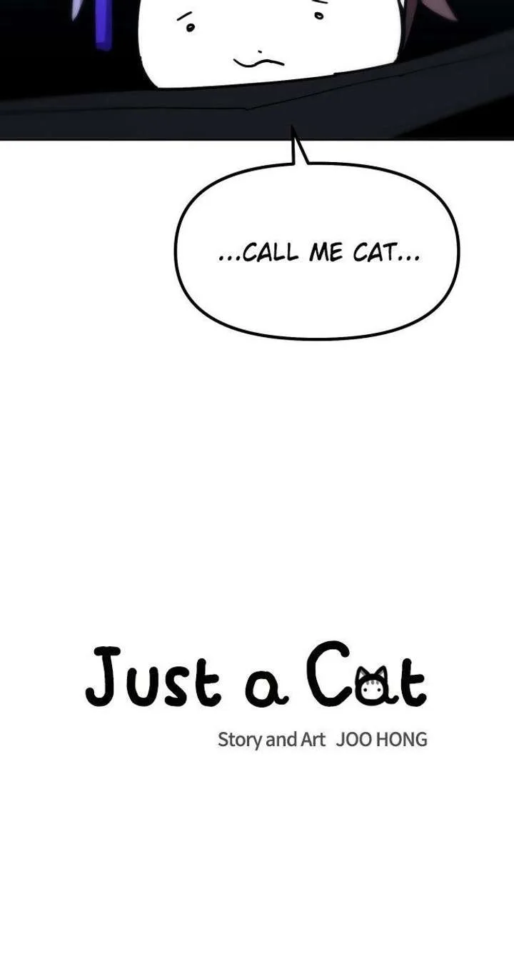 Just A Cat Chapter 54 page 36