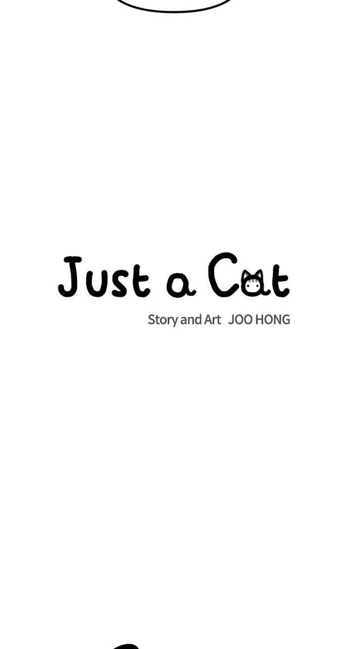 Just A Cat Chapter 52 page 29