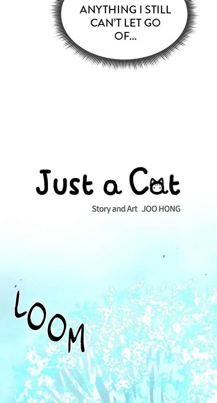 Just A Cat Chapter 55 page 8