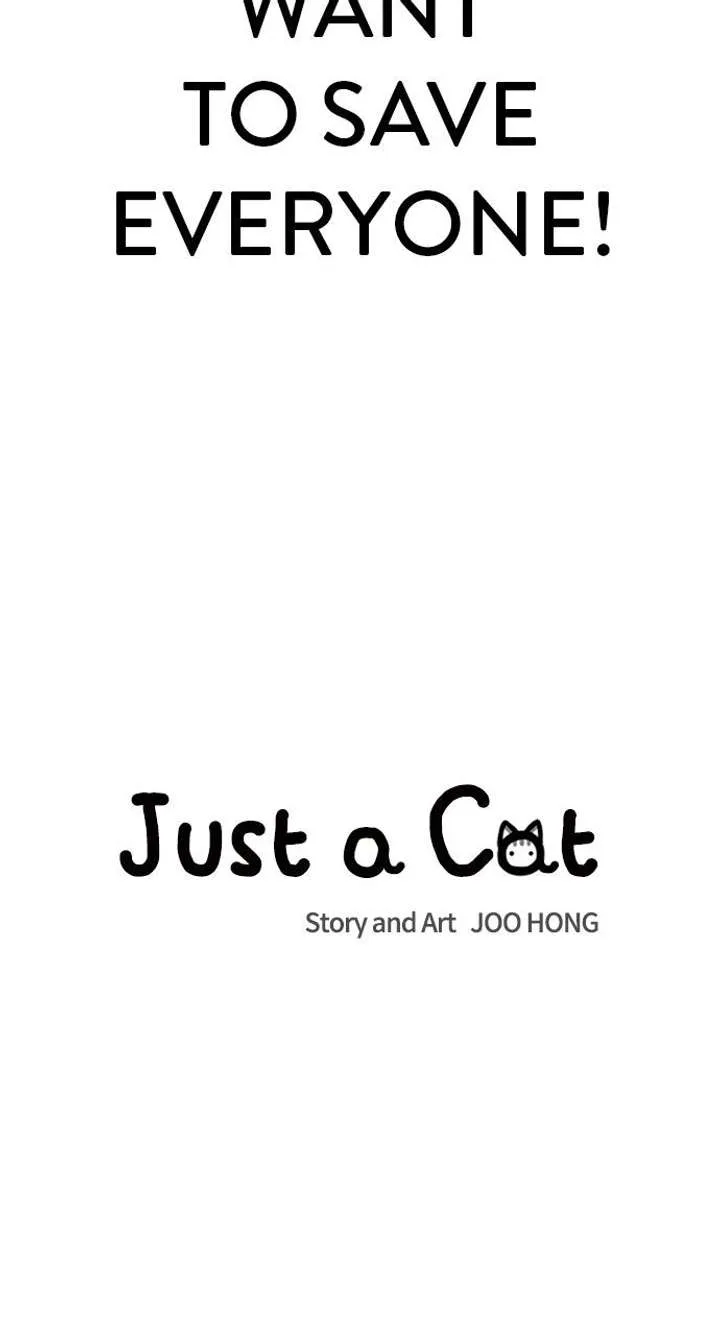 Just A Cat Chapter 59 page 20