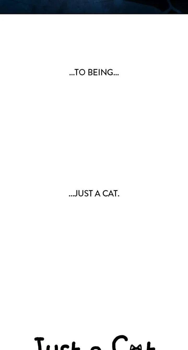 Just A Cat Chapter 61 page 42