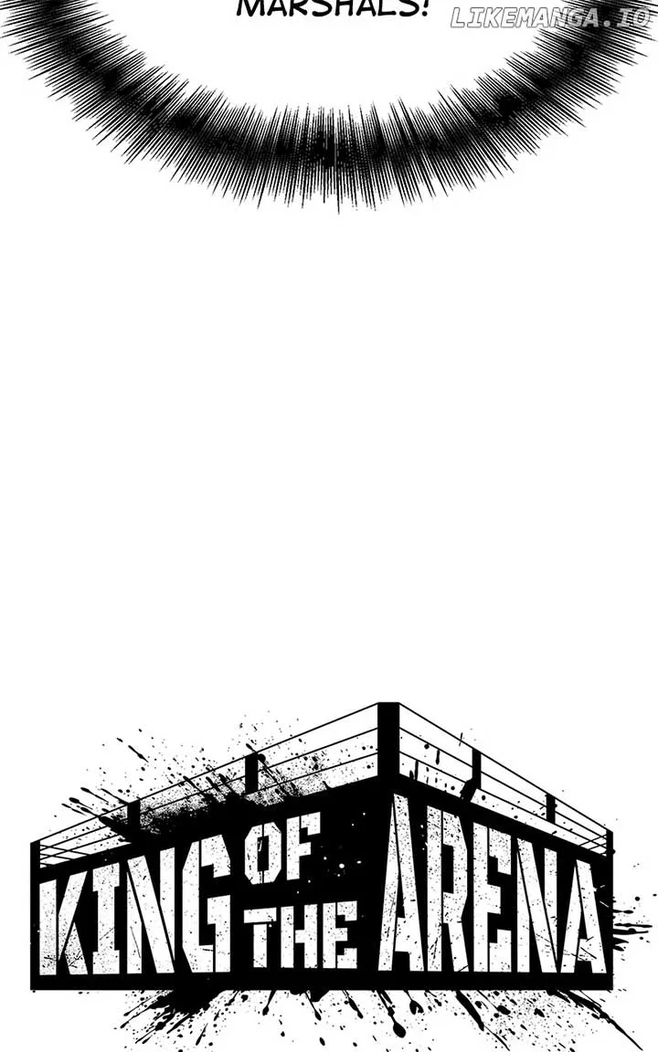 King of Violence Chapter 59 page 28