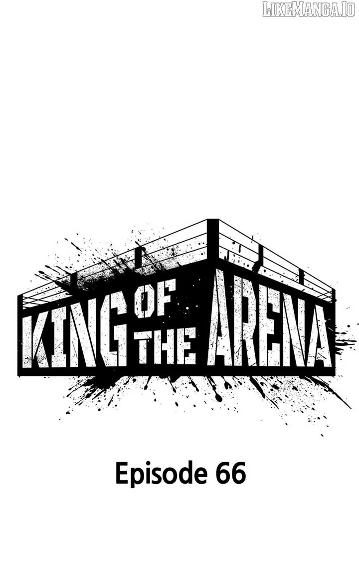 King of Violence Chapter 66 page 17