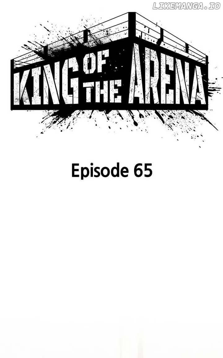 King of Violence Chapter 65 page 19
