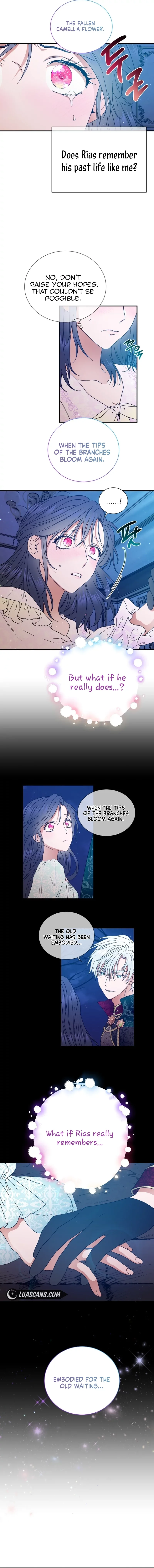 Lady Baby Chapter 199 page 7