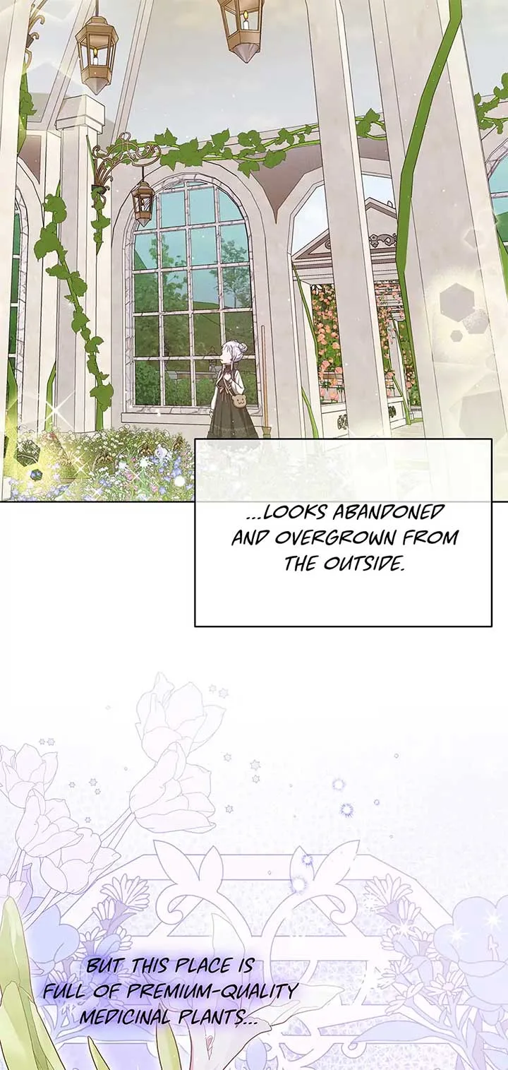 Lady Baby Is a Revenge Maker Chapter 35 page 55