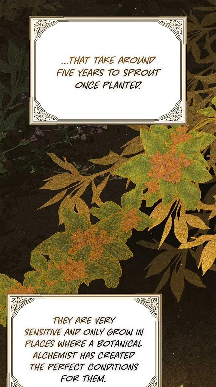 Lady Baby Is a Revenge Maker Chapter 36 page 4
