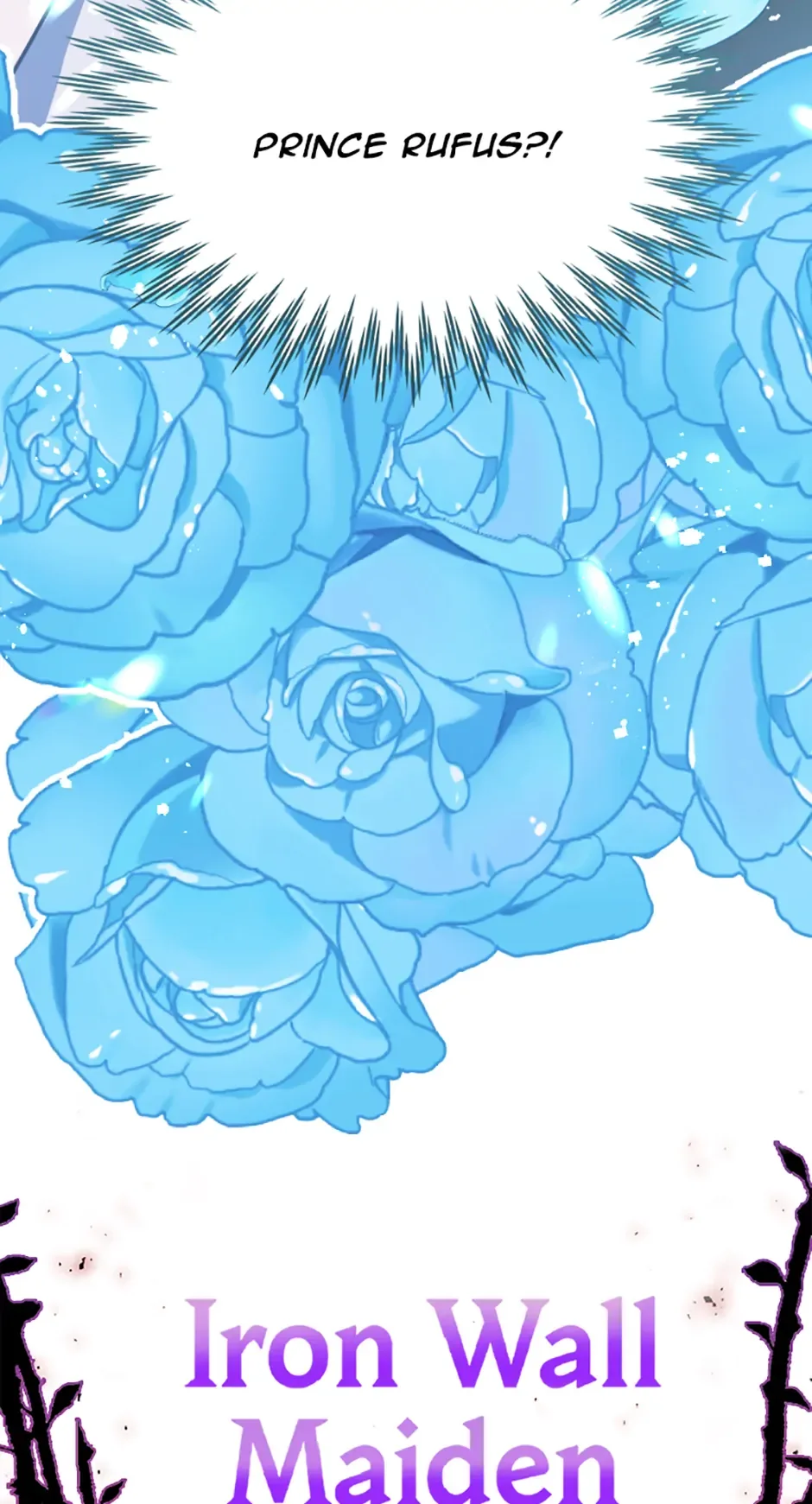 Lady of Iron Wall Chapter 11 page 6