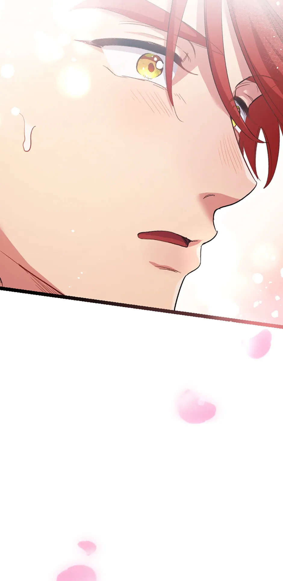 Lady of Iron Wall Chapter 26 page 92