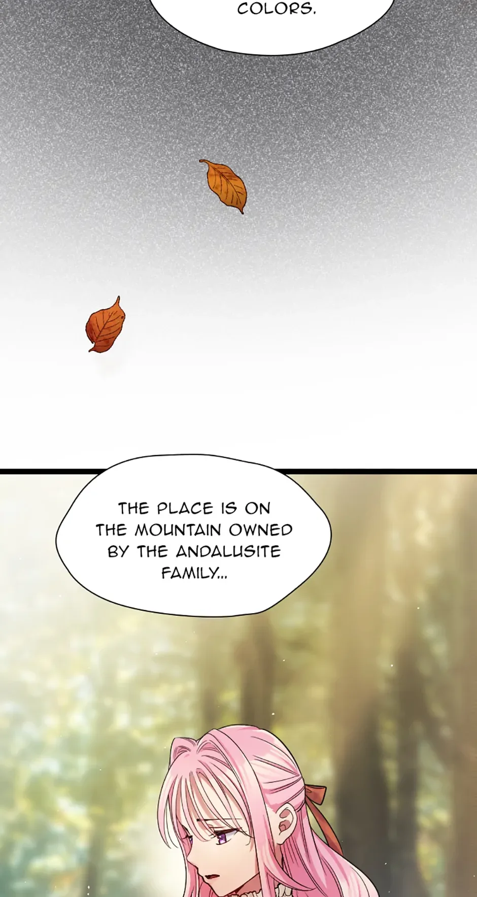 Lady of Iron Wall Chapter 27 page 51