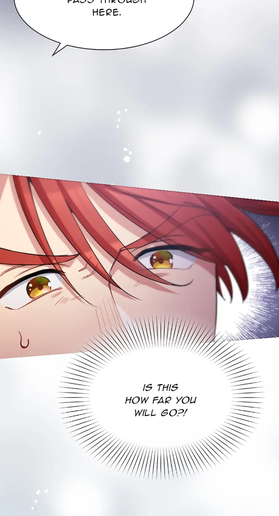 Lady of Iron Wall Chapter 33 page 5