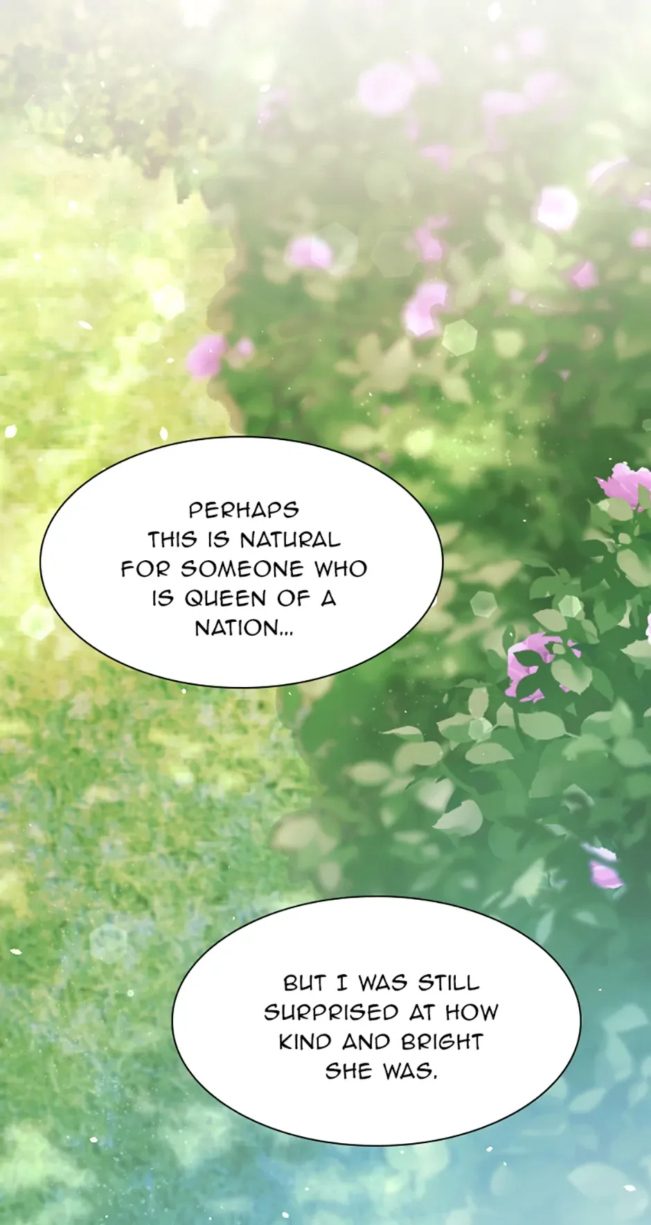 Lady of Iron Wall Chapter 30 page 57