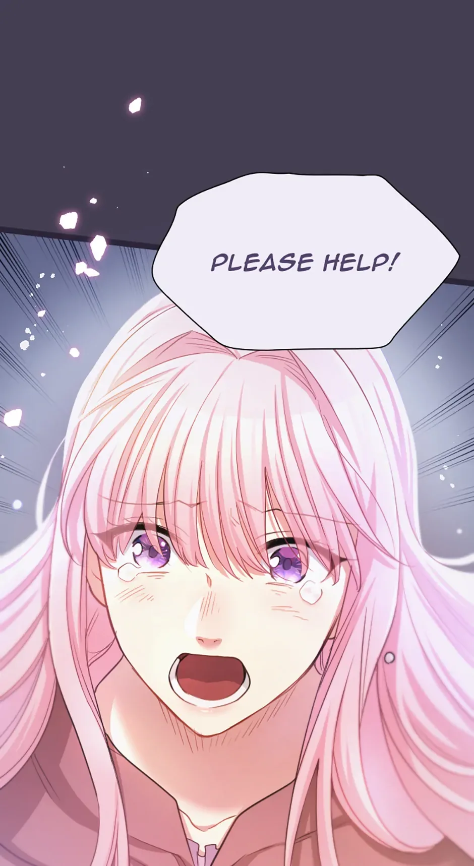 Lady of Iron Wall Chapter 46 page 48