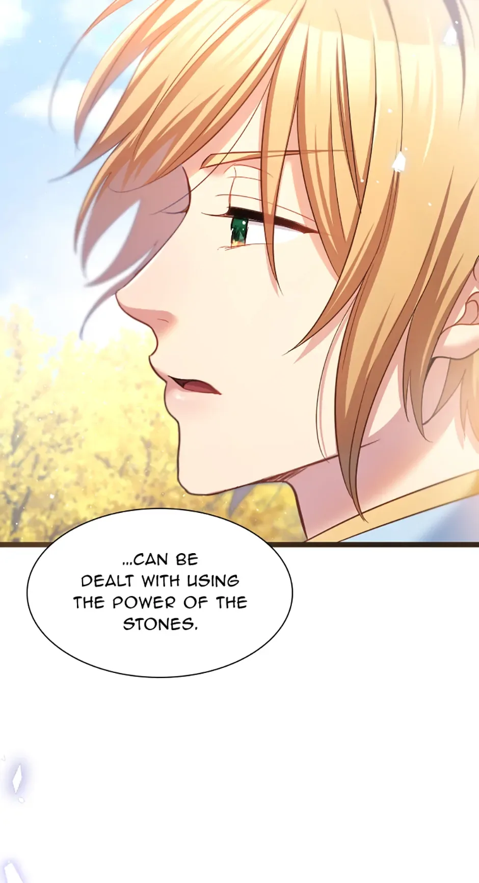 Lady of Iron Wall Chapter 55 page 67