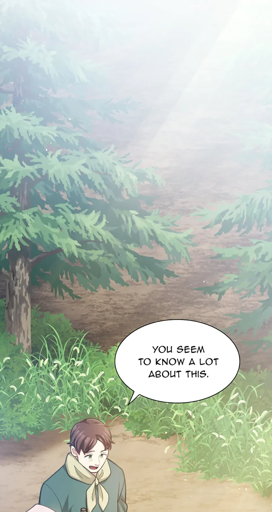 Lady of Iron Wall Chapter 57 page 14