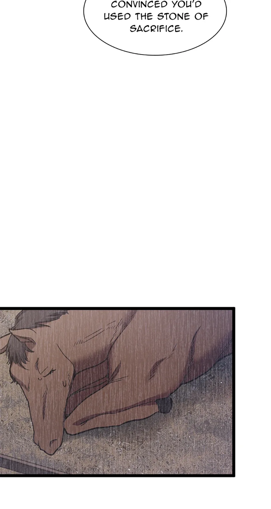 Lady of Iron Wall Chapter 58 page 15