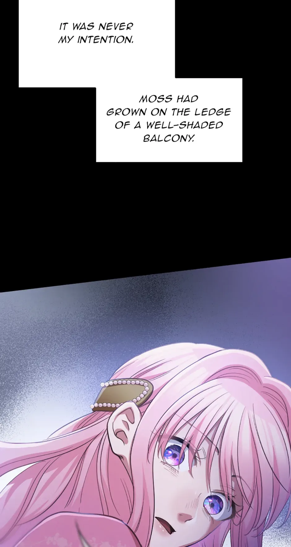 Lady of Iron Wall Chapter 61 page 24