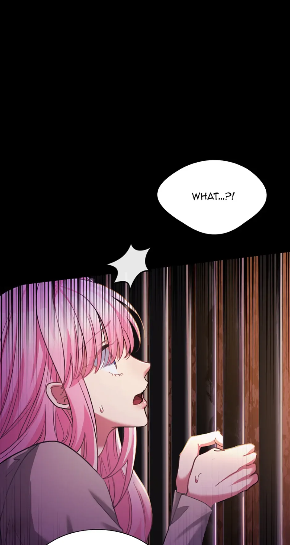 Lady of Iron Wall Chapter 61 page 65