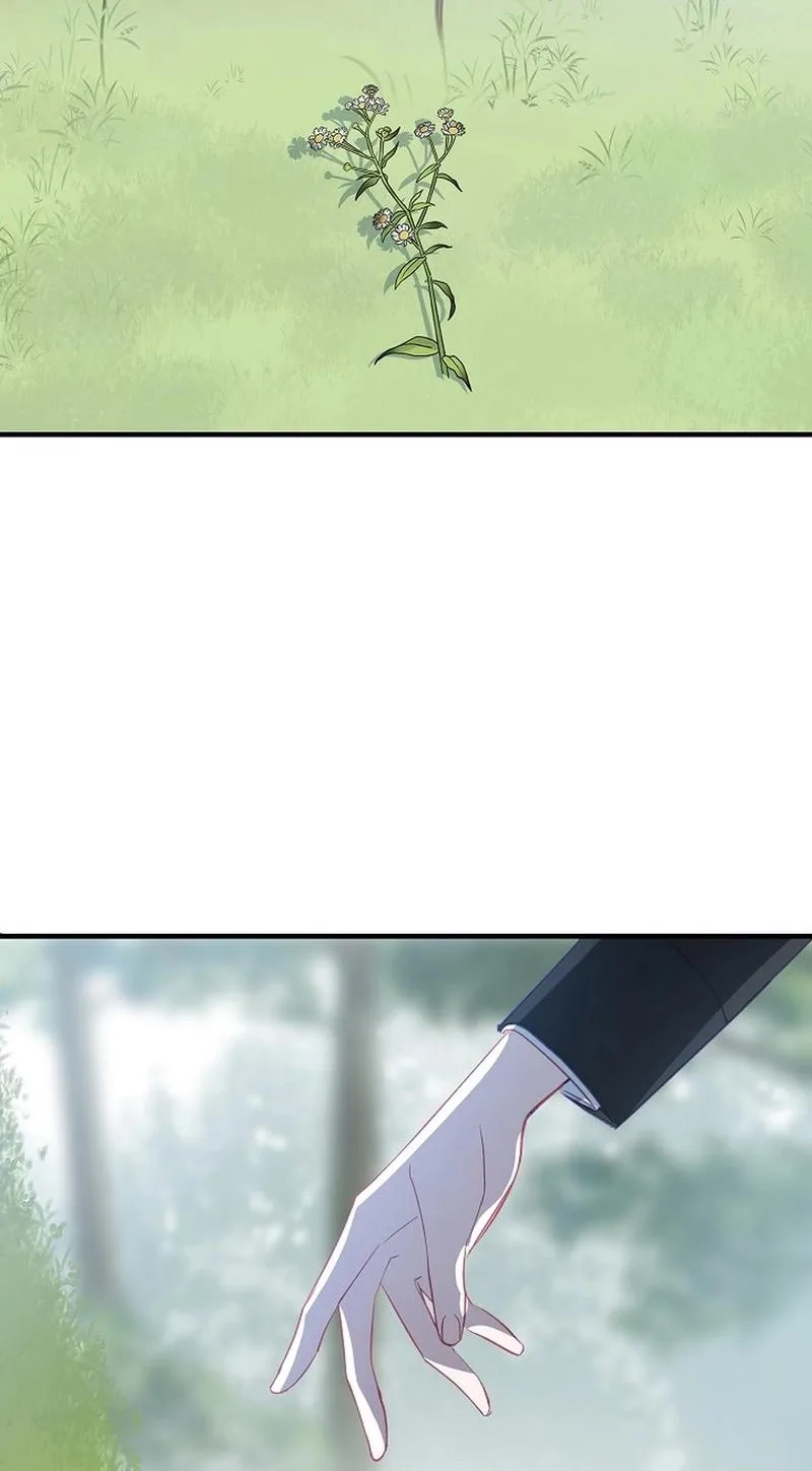 Lady’s Court Chapter 42 page 51