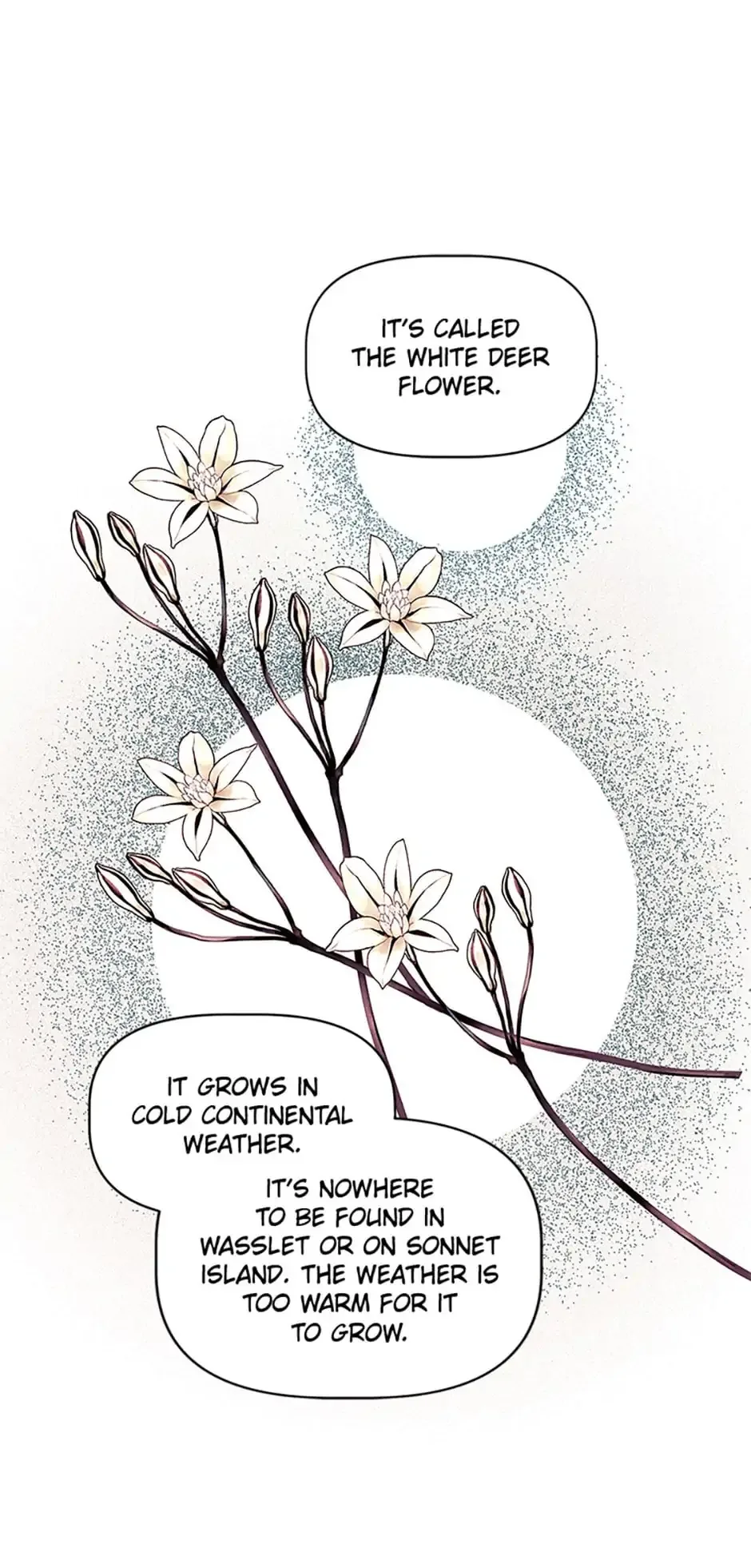 Let Me Fall Be Brilliant Chapter 45 page 31