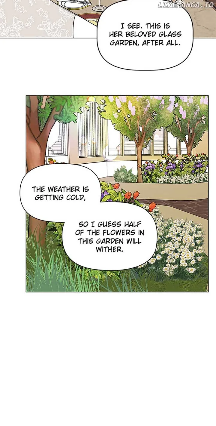 Let Me Fall Be Brilliant Chapter 66 page 5