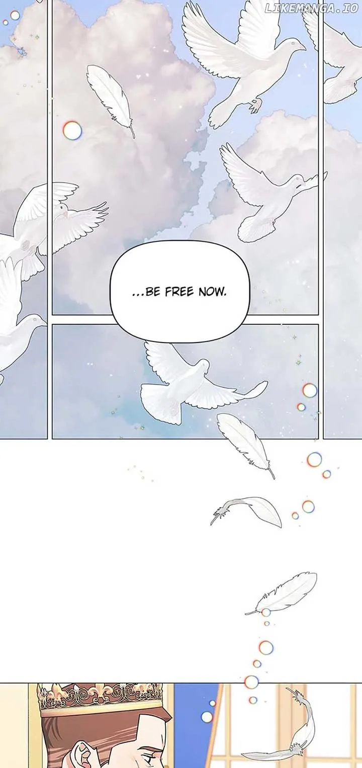 Let Me Fall Be Brilliant Chapter 109 page 43
