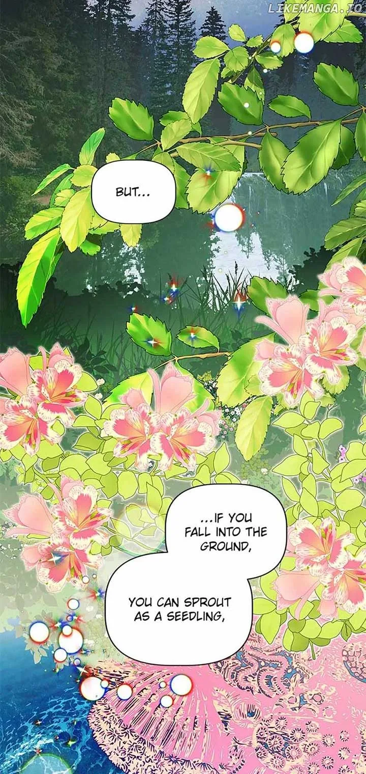 Let Me Fall Be Brilliant Chapter 110 page 62