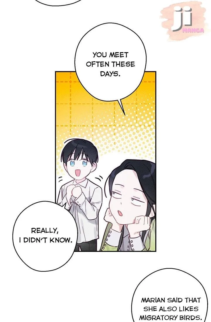 Let’s Hide My Younger Brother First Chapter 17 page 56