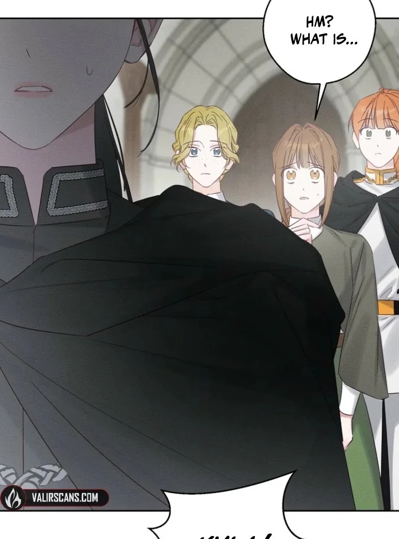 Let’s Hide My Younger Brother First Chapter 102 page 44