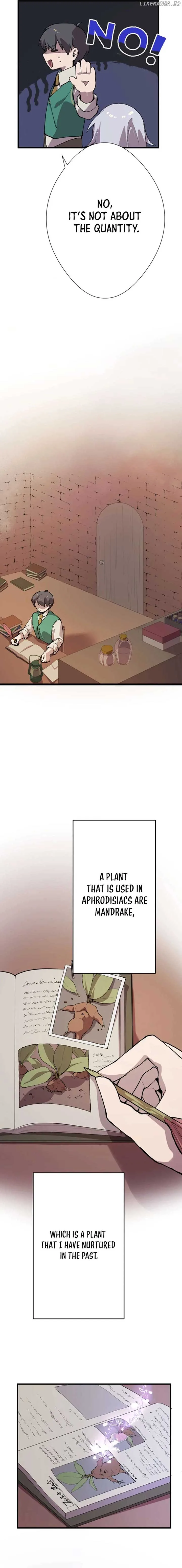 Let’s raise a witch who will destroy the world Chapter 11 page 7